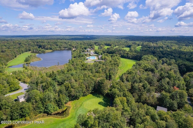 107 Black Bear Ln, Tobyhanna, PA 18466 - photo 30