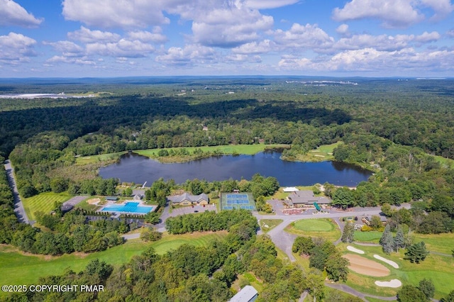 107 Black Bear Ln, Tobyhanna, PA 18466 - photo 29