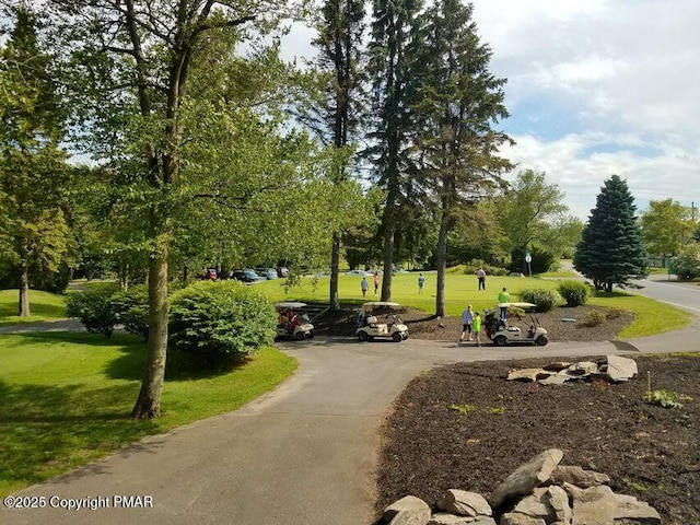 view of home's community featuring a yard