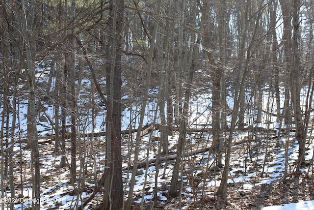 Deer Path, East Stroudsburg PA, 18302 land for sale