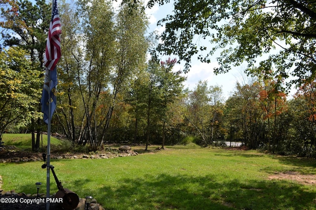 view of yard featuring a wooded view