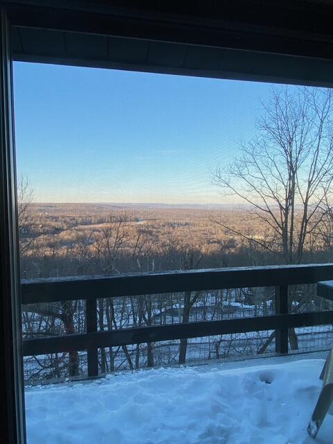 248 High Pass Way, Tannersville, PA 18372 - view of snow covered deck