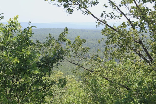 248 High Pass Way, Tannersville, PA 18372 - mountain view featuring a heavily wooded area