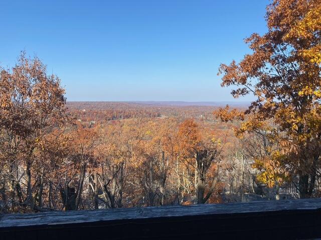248 High Pass Way, Tannersville, PA 18372 - view of tree filled area