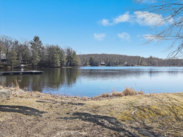 134 Laurel Hill Dr Unit 102, Greentown, PA 18426 - water view with a forest view