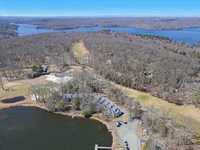 134 Laurel Hill Dr Unit 102, Greentown, PA 18426 - drone / aerial view featuring a water view and a wooded view