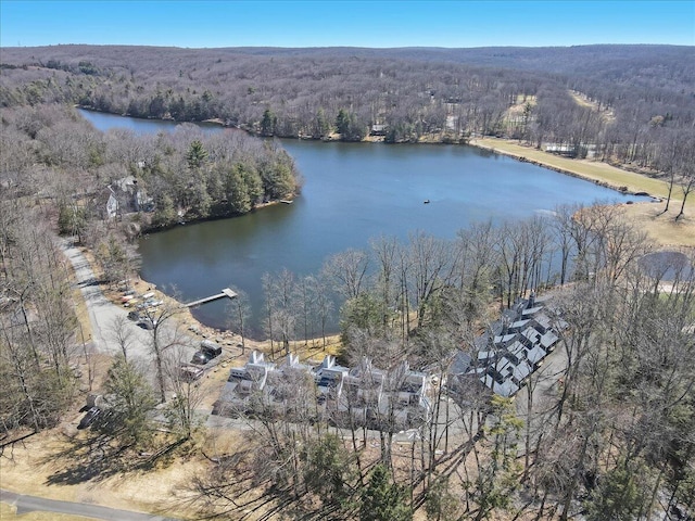 134 Laurel Hill Dr Unit 102, Greentown, PA 18426 - birds eye view of property with a water view and a view of trees