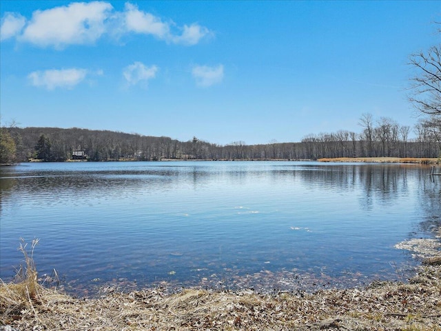 134 Laurel Hill Dr Unit 102, Greentown, PA 18426 - property view of water with a view of trees