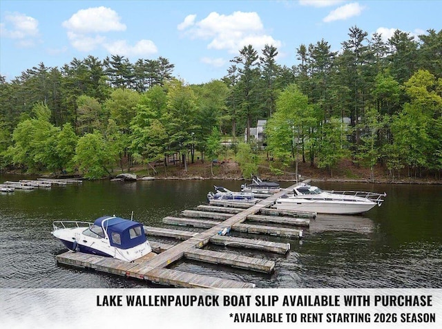 134 Laurel Hill Dr Unit 102, Greentown, PA 18426 - view of dock with a water view