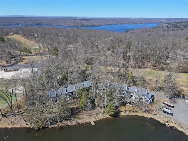 134 Laurel Hill Dr Unit 102, Greentown, PA 18426 - birds eye view of property featuring a water view