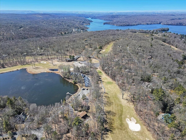 134 Laurel Hill Dr Unit 102, Greentown, PA 18426 - birds eye view of property with a water view and a forest view