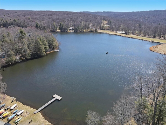 134 Laurel Hill Dr Unit 102, Greentown, PA 18426 - birds eye view of property with a water view and a forest view