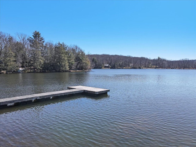 134 Laurel Hill Dr Unit 102, Greentown, PA 18426 - dock area with a water view and a wooded view