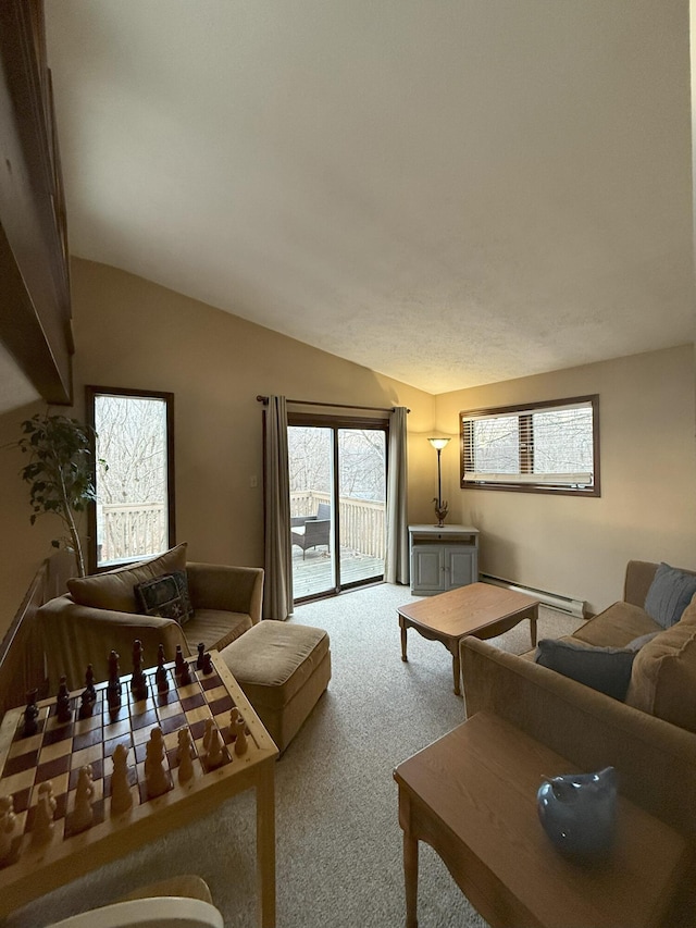 248 Penn Forest Trl, Albrightsville, PA 18210 - carpeted living room featuring a baseboard heating unit and lofted ceiling