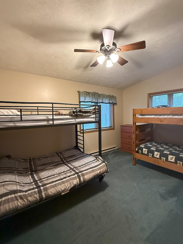 248 Penn Forest Trl, Albrightsville, PA 18210 - bedroom with vaulted ceiling, multiple windows, carpet flooring, and a textured ceiling