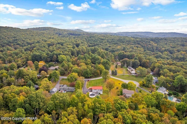 bird's eye view with a forest view