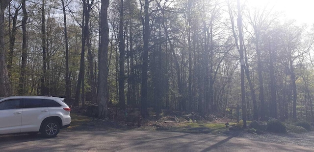 3526 Burnwood Pt, Lake Ariel, PA 18436