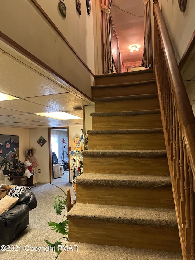 staircase featuring carpet flooring