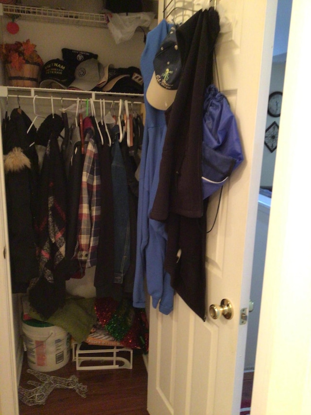 spacious closet with wood finished floors