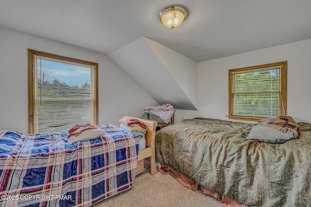 5502/5500 Rte 115, Blakeslee, PA 18610 - photo 57