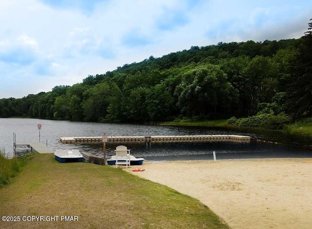 3105 Yorke Ct, Bushkill, PA 18324 - photo 41