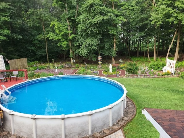 outdoor pool featuring a lawn