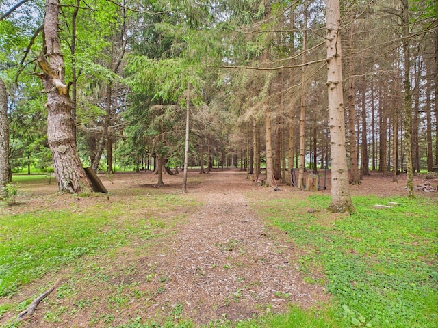 203 Old Rte 940, Pocono Pines, PA 18350 - view of yard with a wooded view