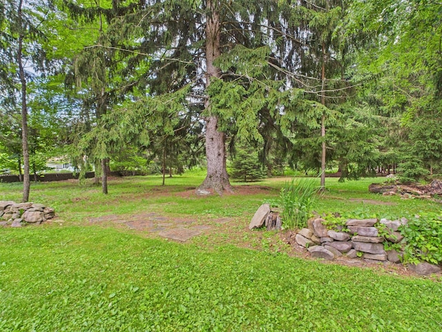 203 Old Rte 940, Pocono Pines, PA 18350 - view of green lawn