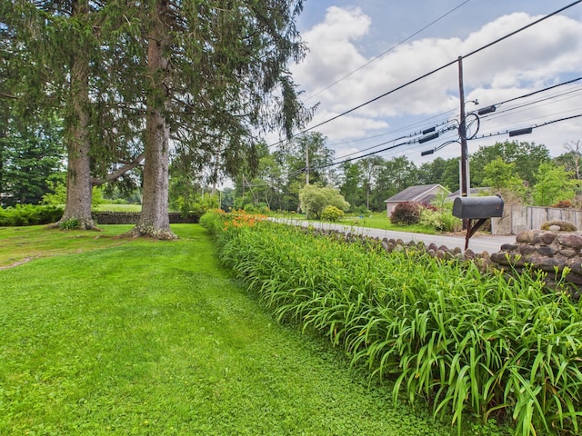 203 Old Rte 940, Pocono Pines, PA 18350 - view of green lawn