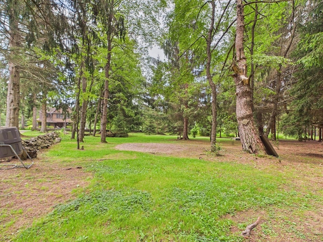 203 Old Rte 940, Pocono Pines, PA 18350 - view of grassy yard