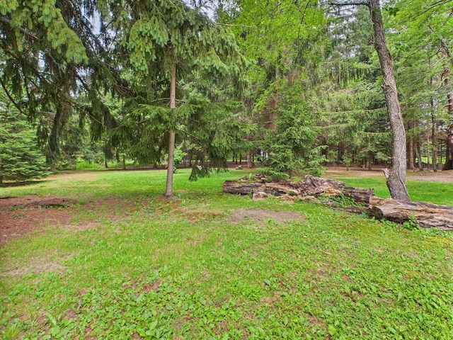 203 Old Rte 940, Pocono Pines, PA 18350 - view of green lawn