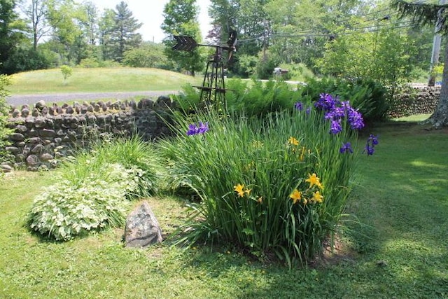 203 Old Rte 940, Pocono Pines, PA 18350 - view of green lawn