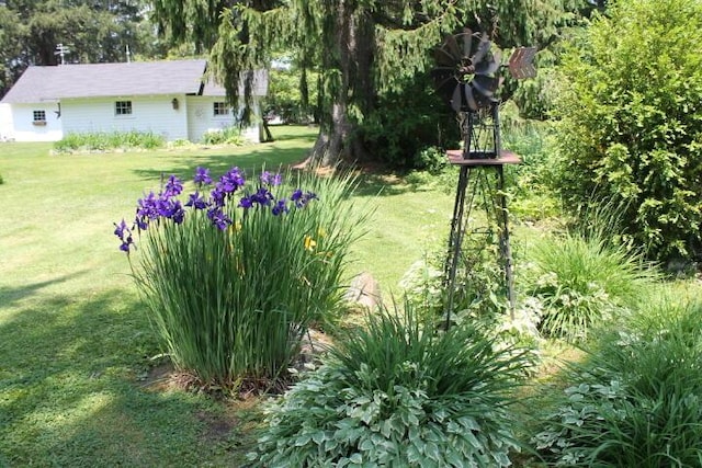 203 Old Rte 940, Pocono Pines, PA 18350 - view of green lawn