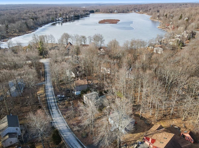 birds eye view of property with a water view and a wooded view