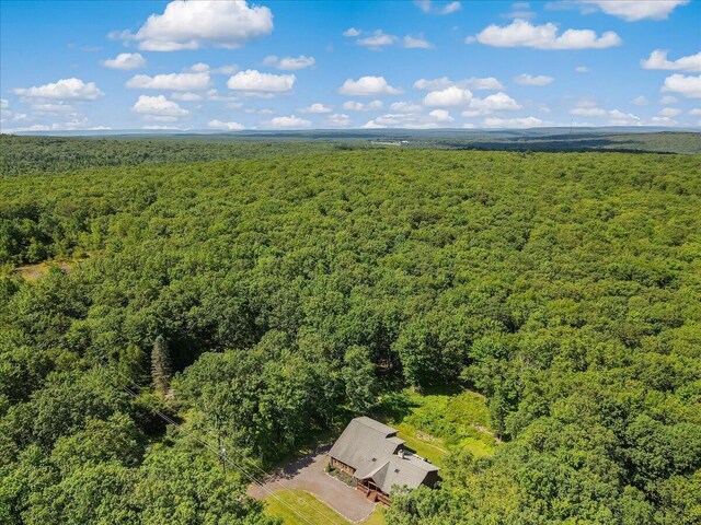 171 Kilmer Trl, Albrightsville, PA 18210 - photo 46