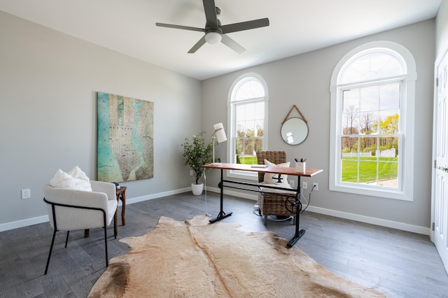 901 Meyer Rd, Nazareth, PA 18064 - office space with baseboards, ceiling fan, and wood finished floors