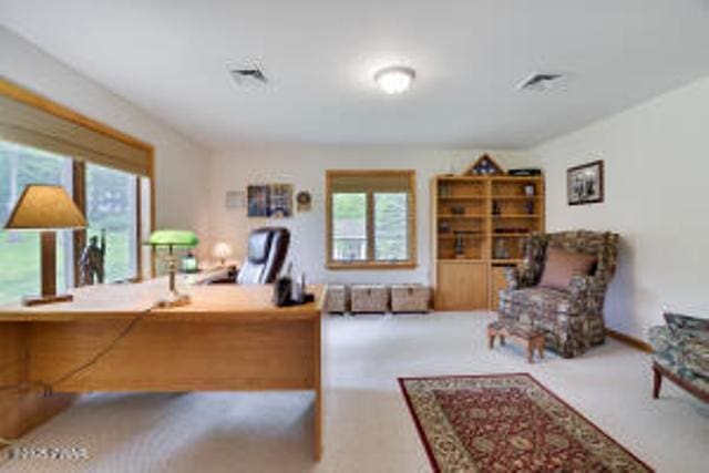 7 Shore Line Dr, Lakeville, PA 18438 - office space with plenty of natural light and carpet floors