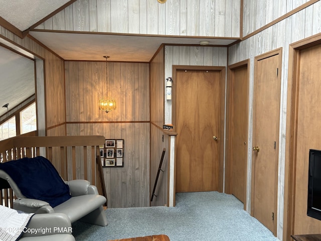 living area featuring wooden walls, carpet flooring, and an upstairs landing