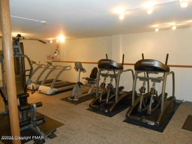 exercise area featuring carpet