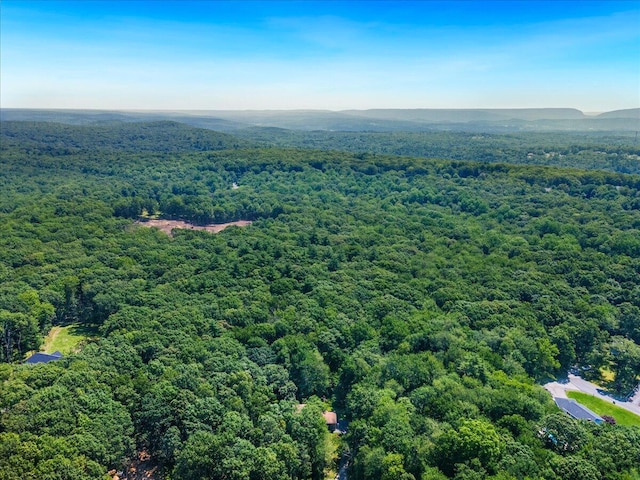 114 Gregory Ct, Stroudsburg, PA 18360 - drone / aerial view of a heavily wooded area