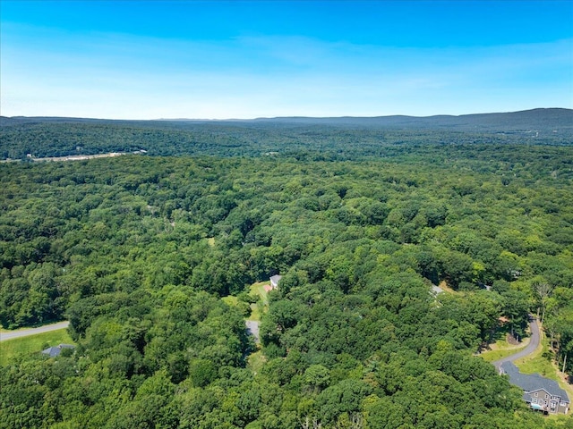 114 Gregory Ct, Stroudsburg, PA 18360 - drone / aerial view of a forest