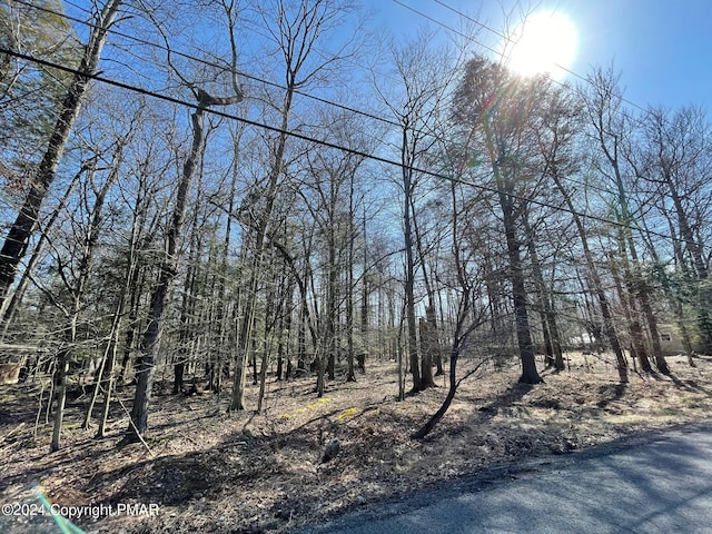 B14HF Tanglewood Dr, Albrightsville PA, 18210 land for sale