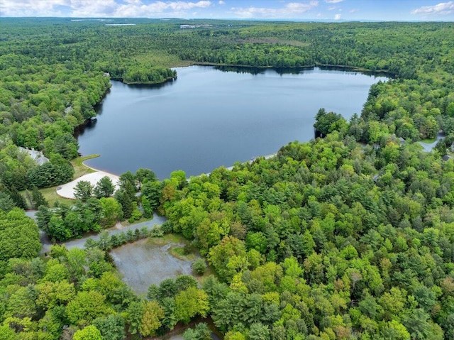 1055 Crestwoods Dr, Pocono Pines, PA 18350 - drone / aerial view of a large body of water