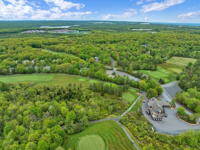 1055 Crestwoods Dr, Pocono Pines, PA 18350 - bird's eye view of a forest and a local golf course