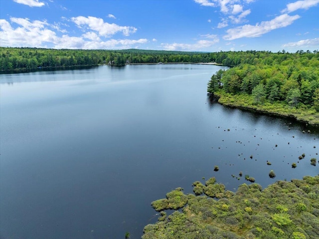 1055 Crestwoods Dr, Pocono Pines, PA 18350 - water view featuring a heavily wooded area
