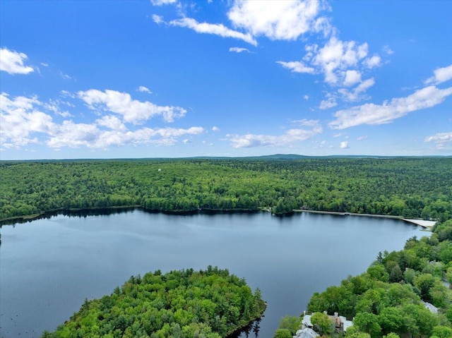 1055 Crestwoods Dr, Pocono Pines, PA 18350 - bird's eye view of a heavily wooded area and a large body of water