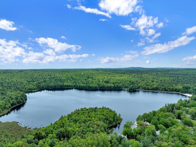 1055 Crestwoods Dr, Pocono Pines, PA 18350 - aerial view of a nearby body of water