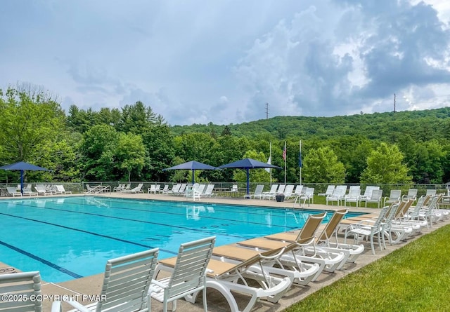 5926 Decker Rd, Bushkill, PA 18324 - photo 45