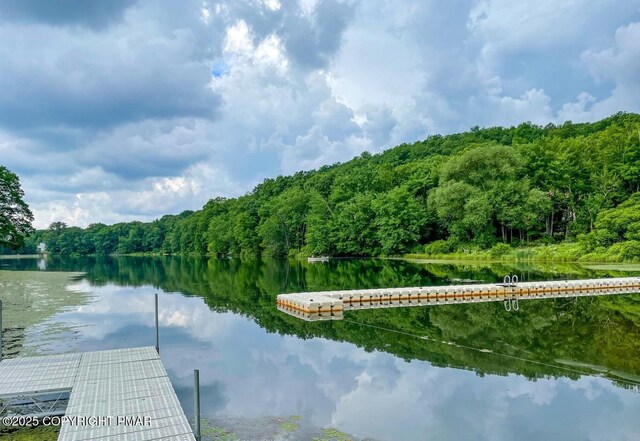 5926 Decker Rd, Bushkill, PA 18324 - photo 43