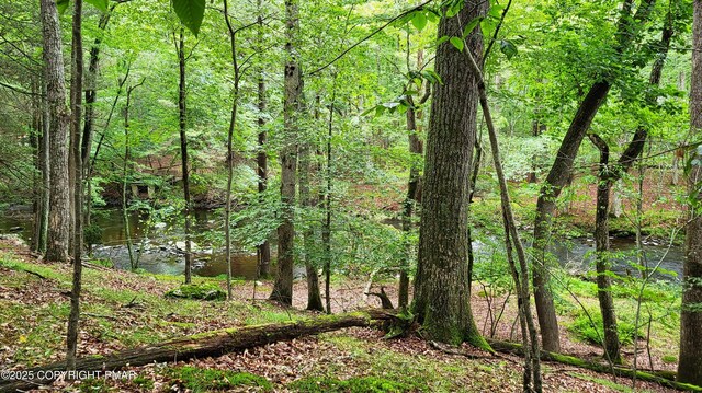 5926 Decker Rd, Bushkill, PA 18324 - photo 7
